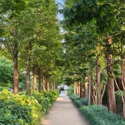 Gyeongui Line Forest Park