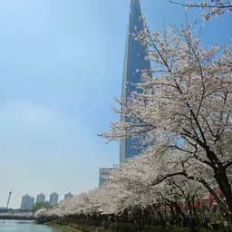 Seokchon Lake
